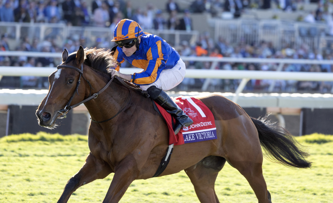 Breeders' Cup Juvenile Fillies Turf Unbeaten Lake Victoria escapes